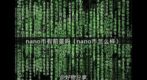 nano币有前景吗（nano币怎么样）