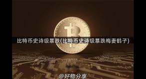 比特币史诗级暴跌(比特币史诗级暴跌梅妻鹤子)