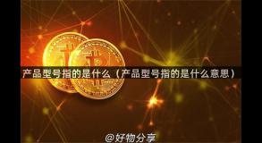 产品型号指的是什么（产品型号指的是什么意思）
