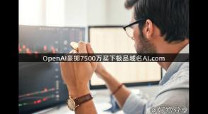 OpenAI豪掷7500万买下极品域名AI.com