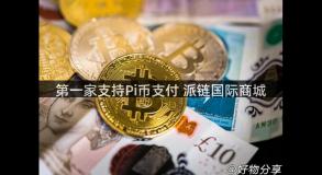 第一家支持Pi币支付 派链国际商城
