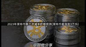 2023年莱特币第三次减半价格预测(莱特币能涨到3万吗)