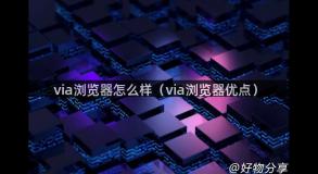 via浏览器怎么样（via浏览器优点）