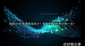 蚂蚁l3+矿机参数是多少？蚂蚁矿机l3+多少钱一台？