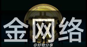 金网络
