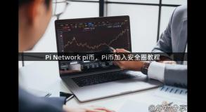 Pi Network pi币，Pi币加入安全圈教程