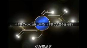 11年买了6000块钱比特币(11年买了几百个比特币)