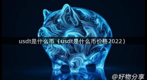 usdt是什么币（usdt是什么币价格2022）