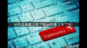 pi币在美国上市了吗(pi币要上市了吗)