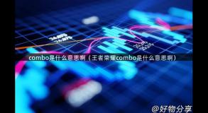 combo是什么意思啊（王者荣耀combo是什么意思啊）