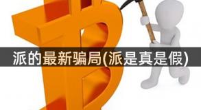 派的最新骗局(派是真是假)