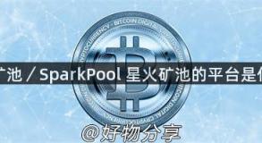 星火矿池／SparkPool 星火矿池的平台是什么？