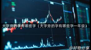 大字旁的字有哪些字（大字旁的字有哪些字一年级）