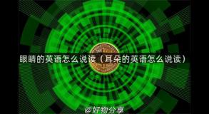 眼睛的英语怎么说读（耳朵的英语怎么说读）