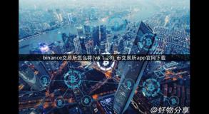 binance交易所怎么样(v6.1.28)_币交易所app官网下载