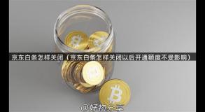 京东白条怎样关闭（京东白条怎样关闭以后开通额度不受影响）