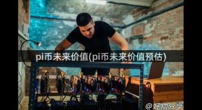 pi币未来价值(pi币未来价值预估)