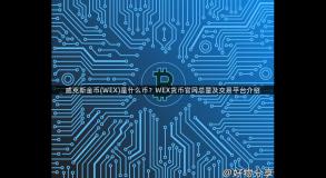 威克斯金币(WEX)是什么币？WEX货币官网总量及交易平台介绍