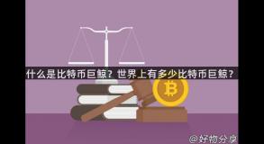 什么是比特币巨鲸？世界上有多少比特币巨鲸？