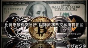 比特币软件交易所  国际数字币交易所有哪些