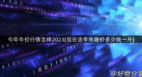 今年牛价行情怎样2023(现在活牛市场价多少钱一斤)