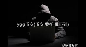 ygg币安(币安 委托 看不到)