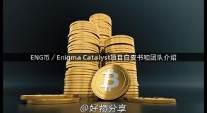 ENG币／Enigma Catalyst项目白皮书和团队介绍