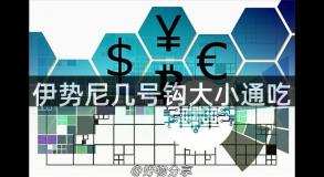 伊势尼几号钩大小通吃