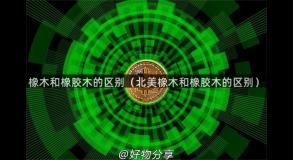橡木和橡胶木的区别（北美橡木和橡胶木的区别）
