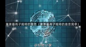 萧萧暮雨子规啼的意思（萧萧暮雨子规啼的意思简单）