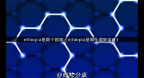 ethiopia是哪个国家（ethiopia是哪个国家读音）