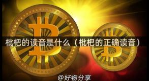 枇杷的读音是什么（枇杷的正确读音）