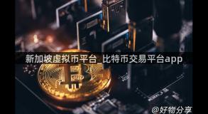 新加坡虚拟币平台_比特币交易平台app