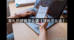 睾丸的拼音怎么读（溃疡怎么读）