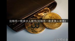 比特币一枚多少人民币(比特币一枚多钱人民币)