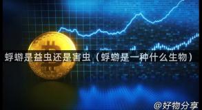 蜉蝣是益虫还是害虫（蜉蝣是一种什么生物）