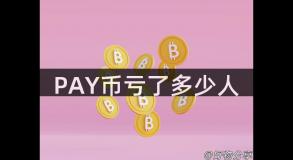 PAY币亏了多少人