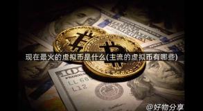 现在最火的虚拟币是什么(主流的虚拟币有哪些)