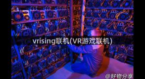 vrising联机(VR游戏联机)