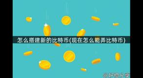 怎么搭建新的比特币(现在怎么能弄比特币)