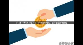 DTZ币／Digitize是什么？DTZ官方网站、团队和白皮书介绍