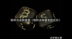 糯种与冰种翡翠（糯种冰种翡翠的区别）