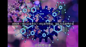 HDG币／Hedge是什么？HDG官方网站、团队和白皮书介绍