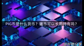 PIG币是什么货币？猪币可以长期持有吗？