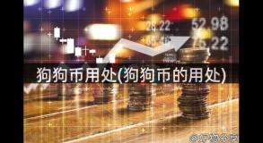 狗狗币用处(狗狗币的用处)