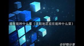 现在能种什么菜（沈阳地区现在能种什么菜）
