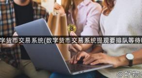 数字货币交易系统(数字货币交易系统提现要排队等待吗)