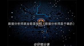 数据分析师就业前景如何（数据分析师是干嘛的）