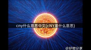 cny什么意思中文(cNY是什么意思)