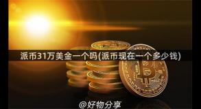 派币31万美金一个吗(派币现在一个多少钱)